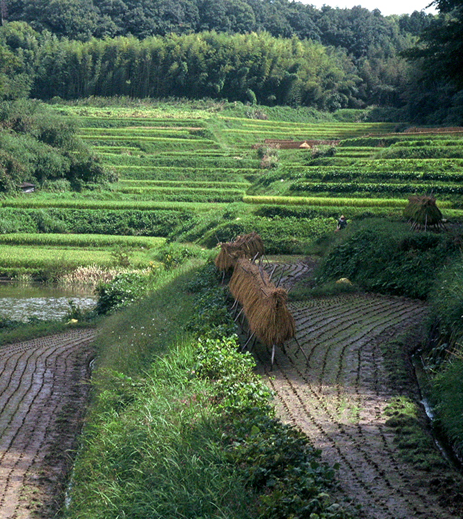 テロワール｜本田商店