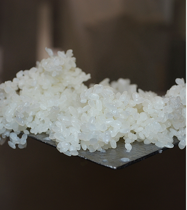 神龍錦 - 大吟醸 米のささやき | 株式会社本田商店