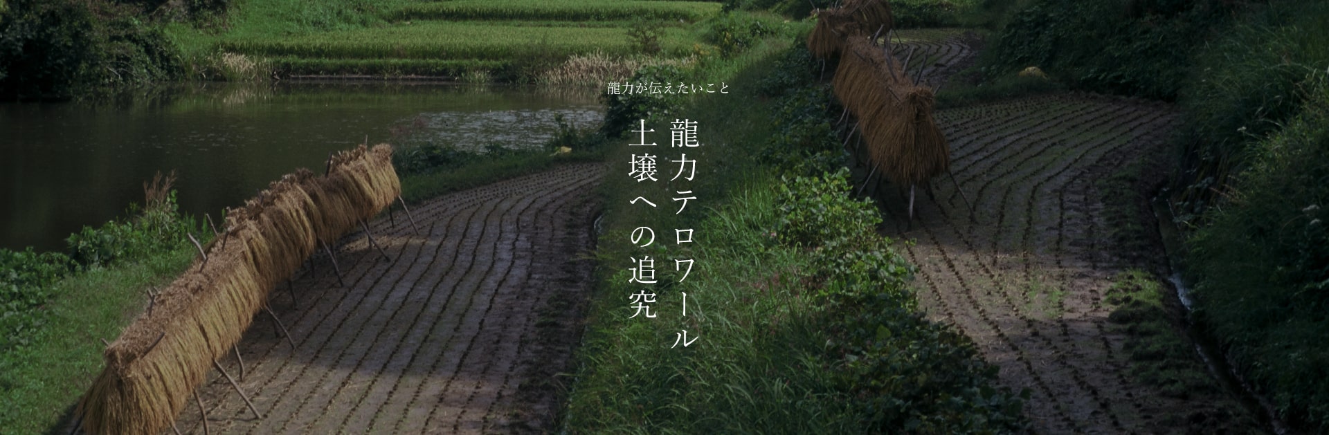 龍力 土壌へのこだわり